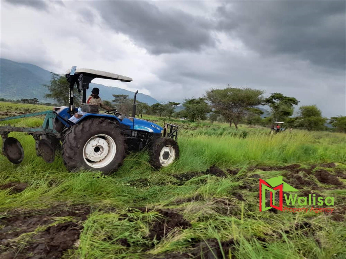 Agricultural Land for sale in Pabo Amuru