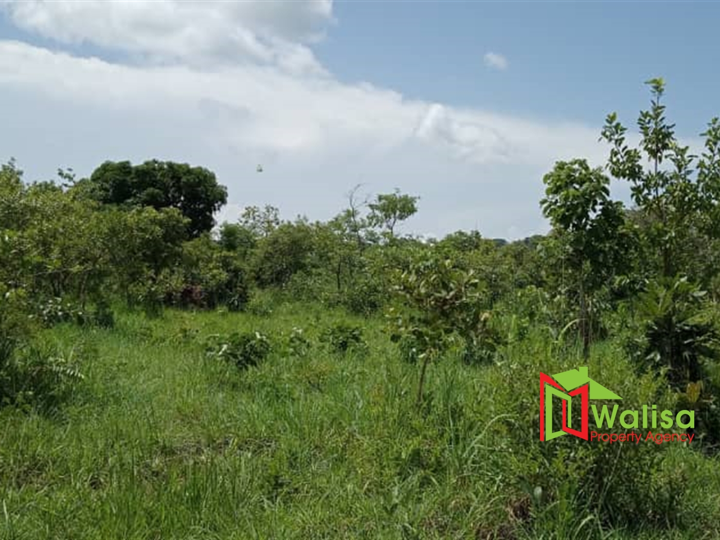 Agricultural Land for sale in Pabo Amuru