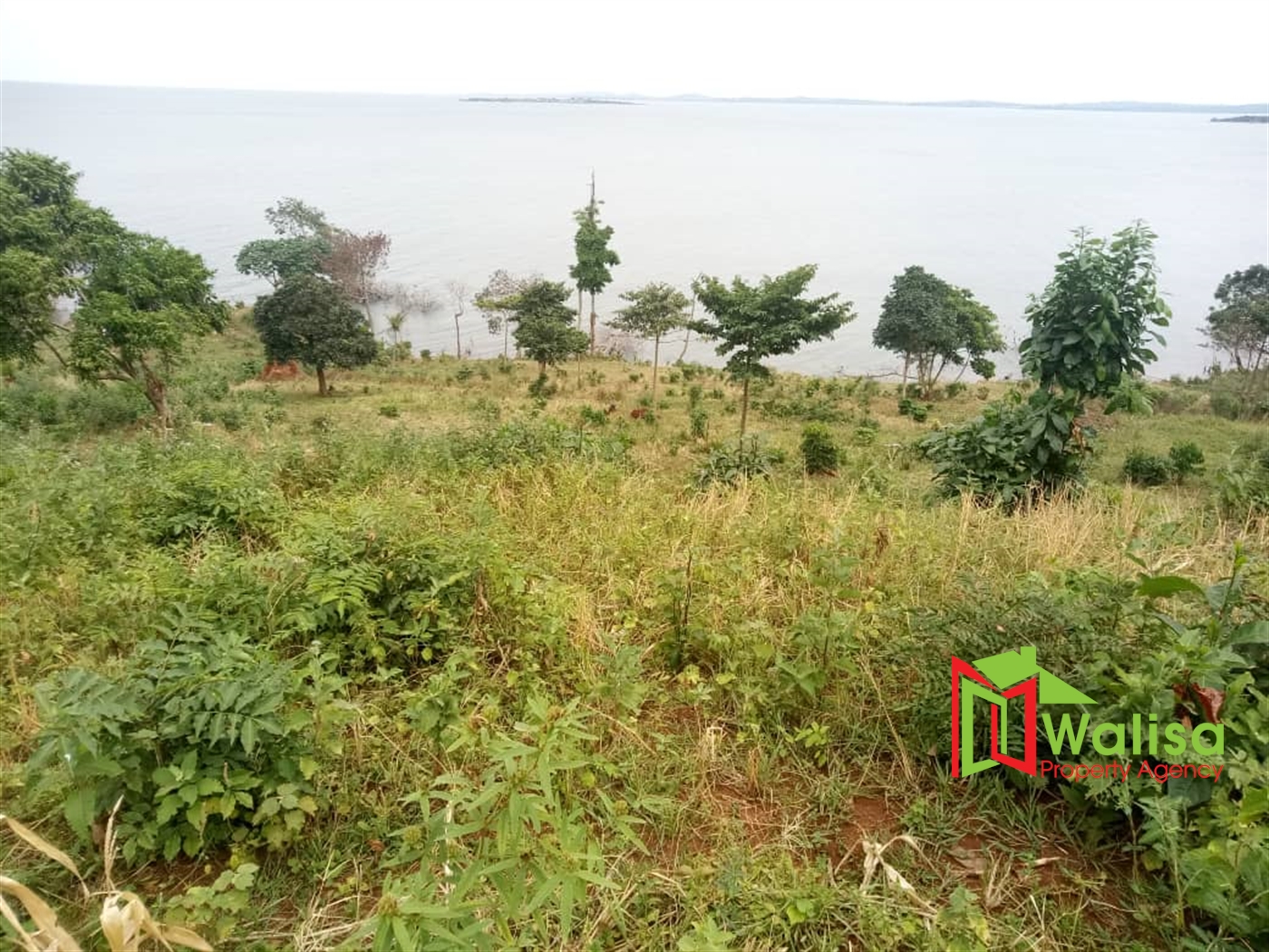Agricultural Land for sale in kyaggwe Mukono