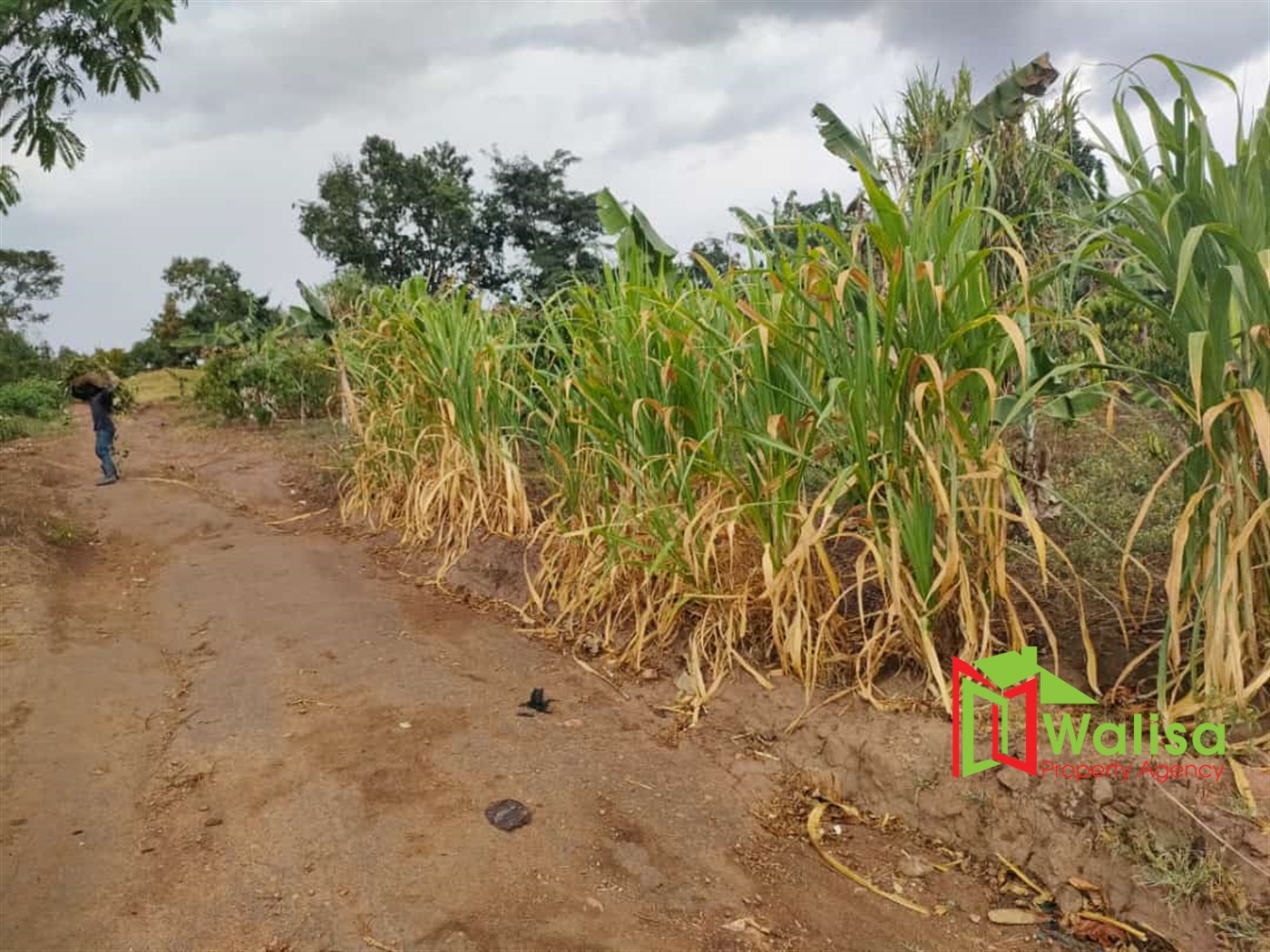 Commercial Land for sale in Namayumba Wakiso