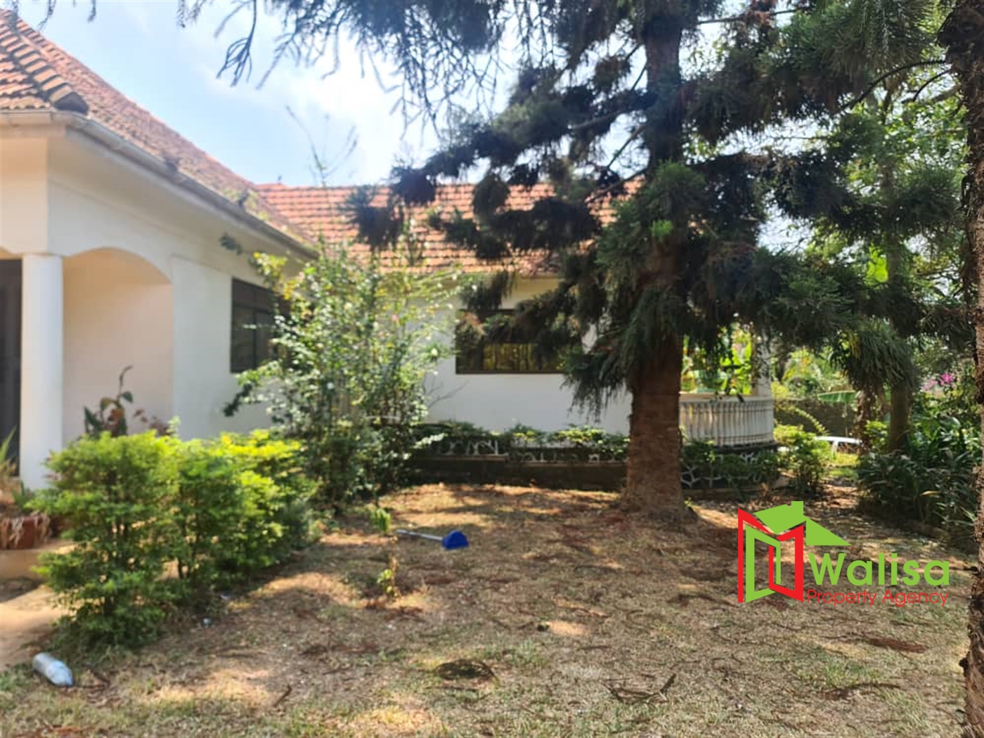 Bungalow for rent in Muyenga Kampala