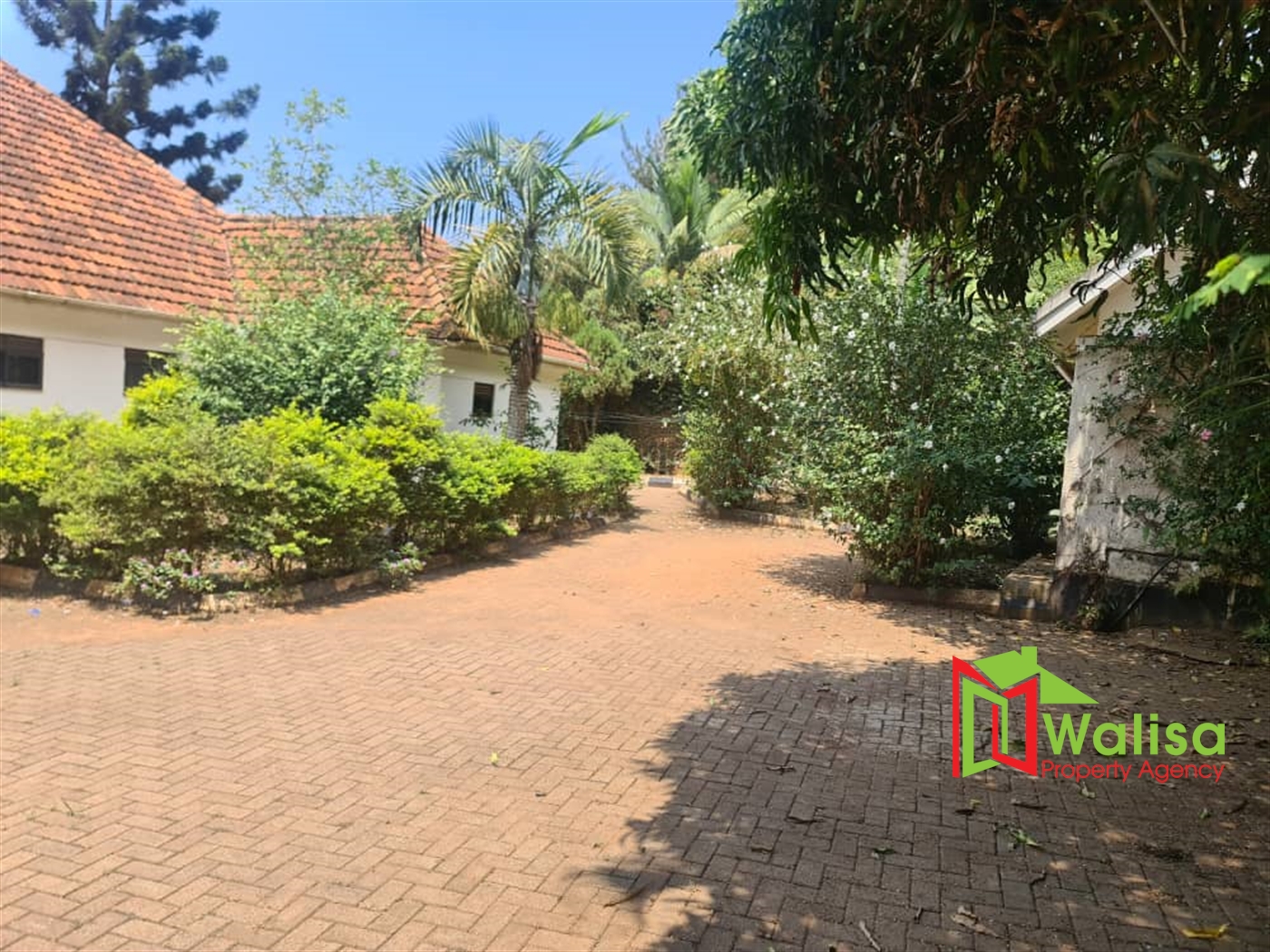 Bungalow for rent in Muyenga Kampala