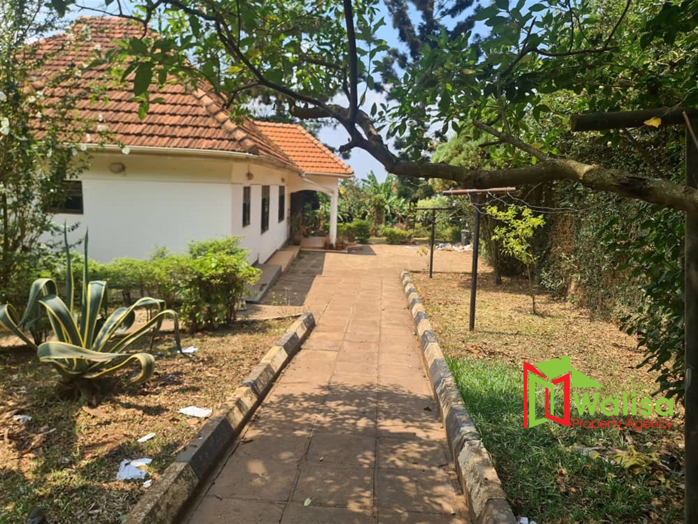 Bungalow for rent in Muyenga Kampala