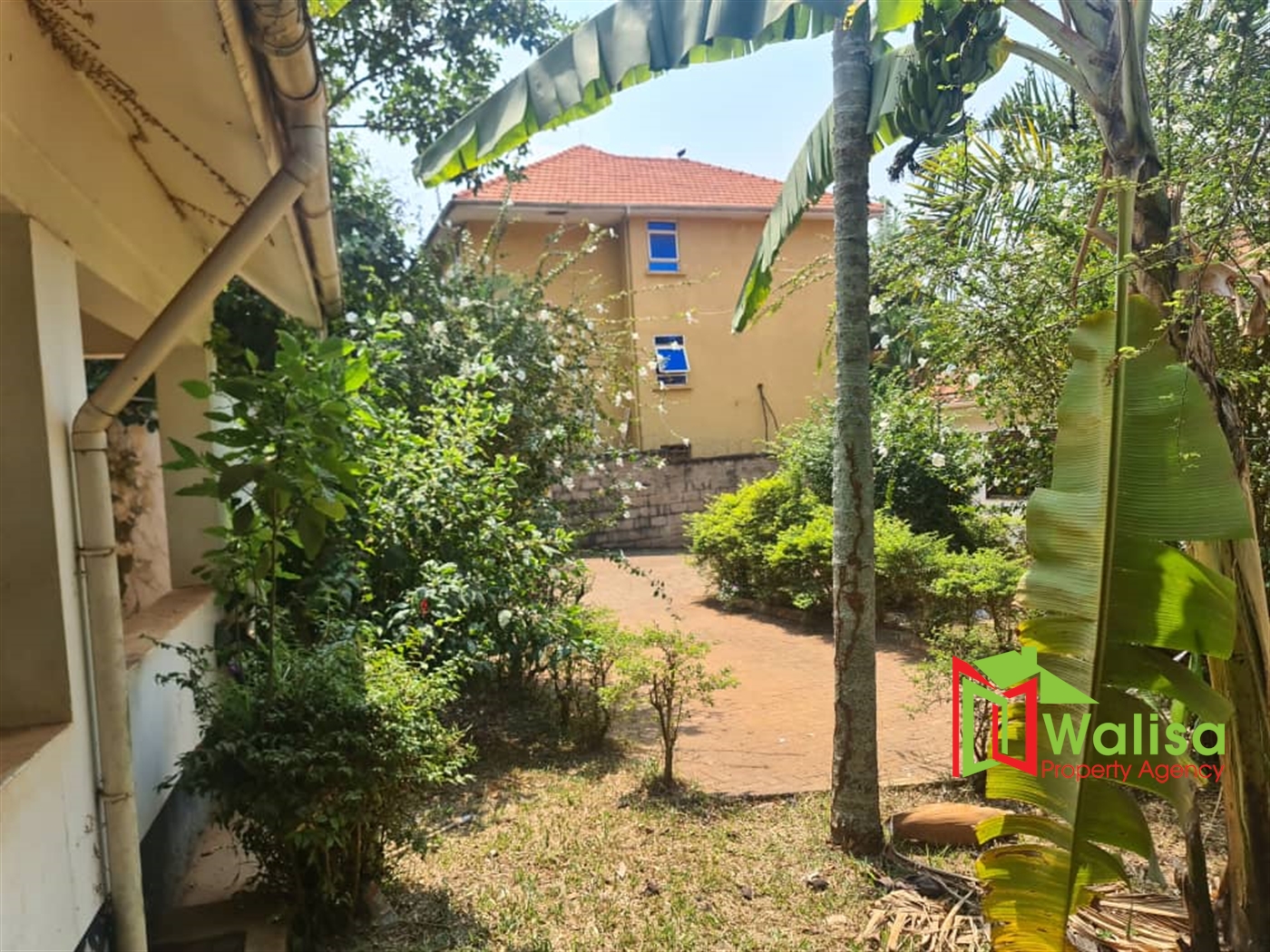 Bungalow for rent in Muyenga Kampala