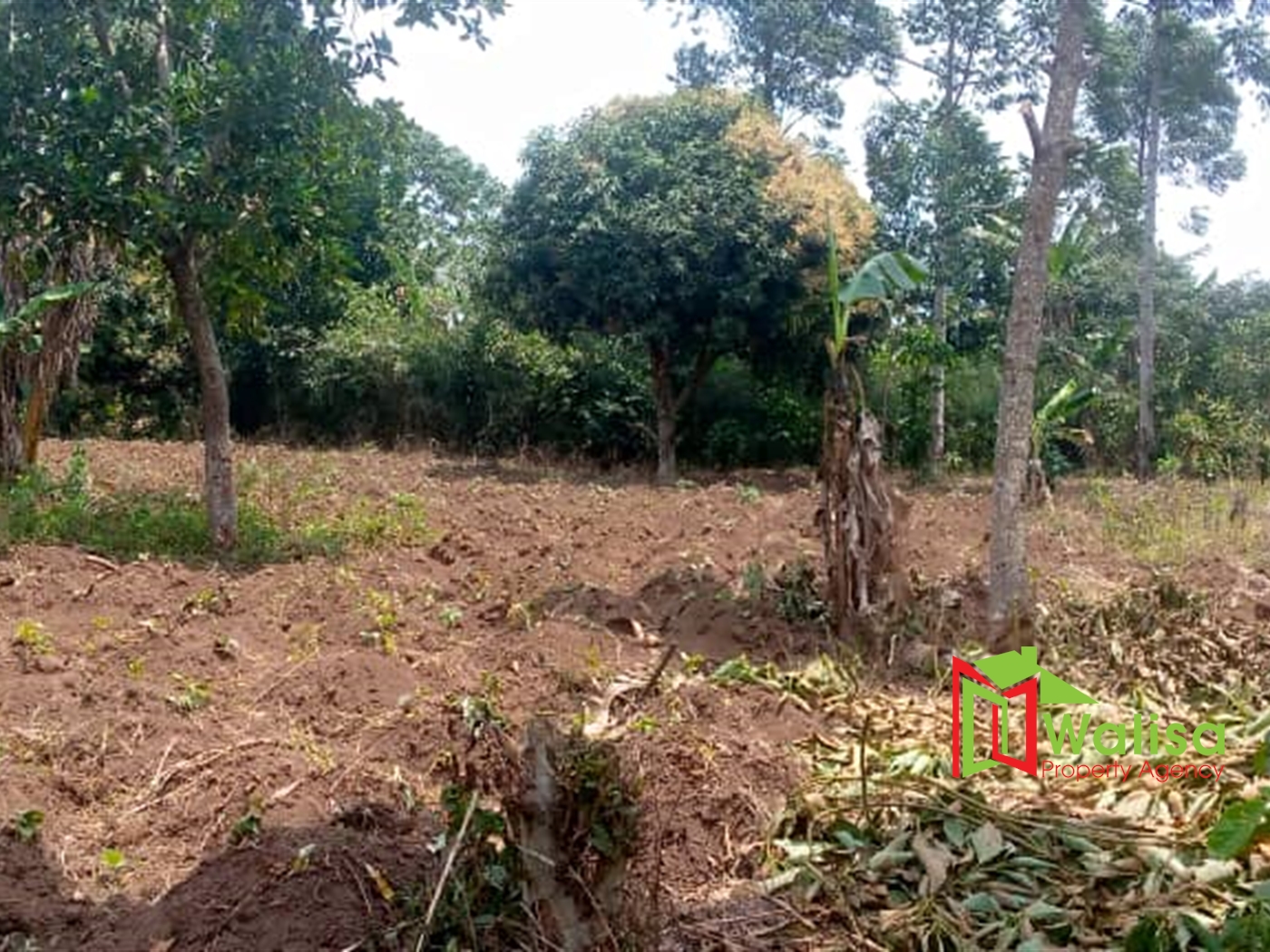 Agricultural Land for sale in Matugga Wakiso