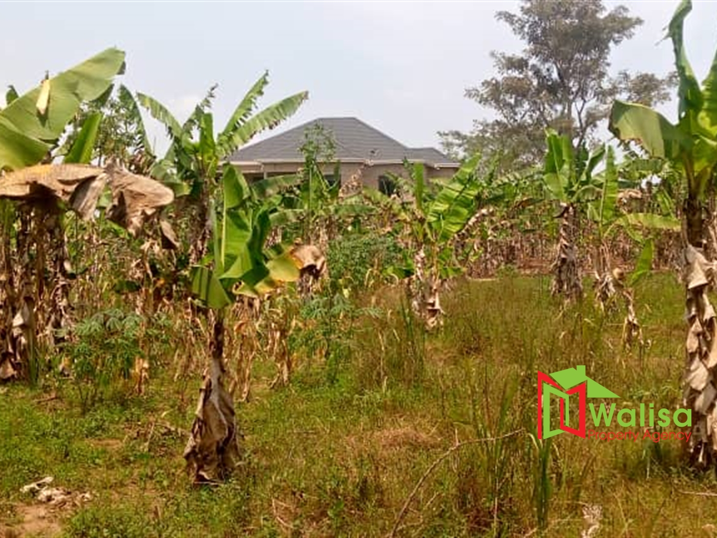 Agricultural Land for sale in Matugga Wakiso