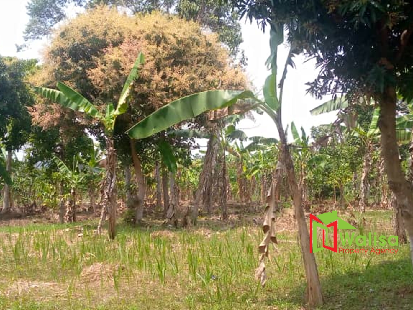 Agricultural Land for sale in Matugga Wakiso