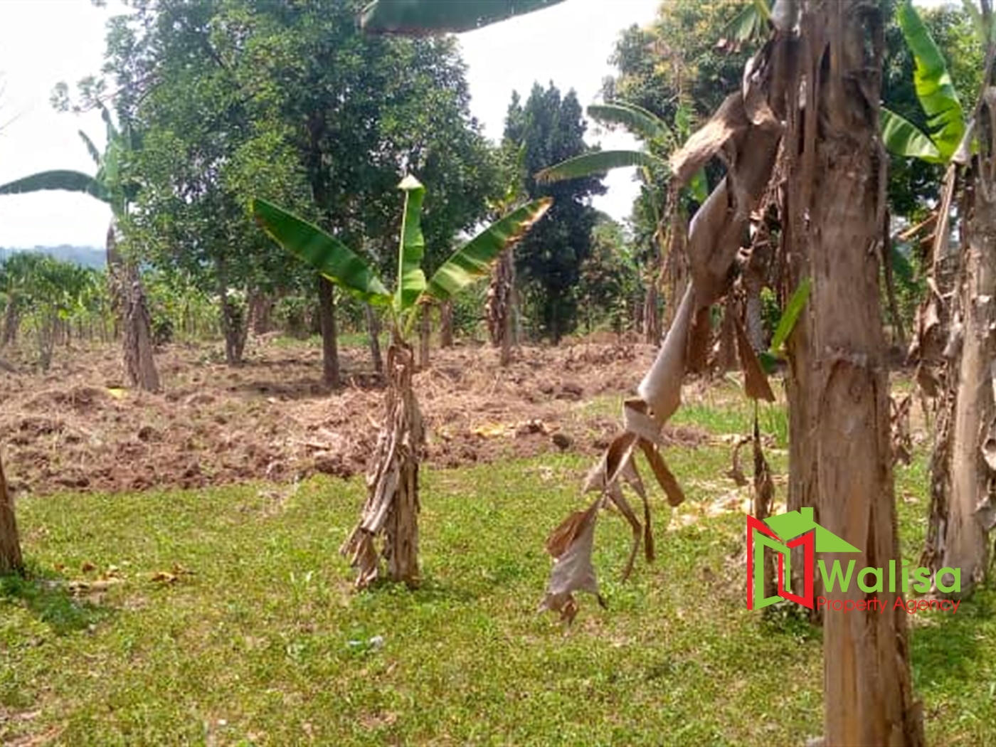 Agricultural Land for sale in Matugga Wakiso