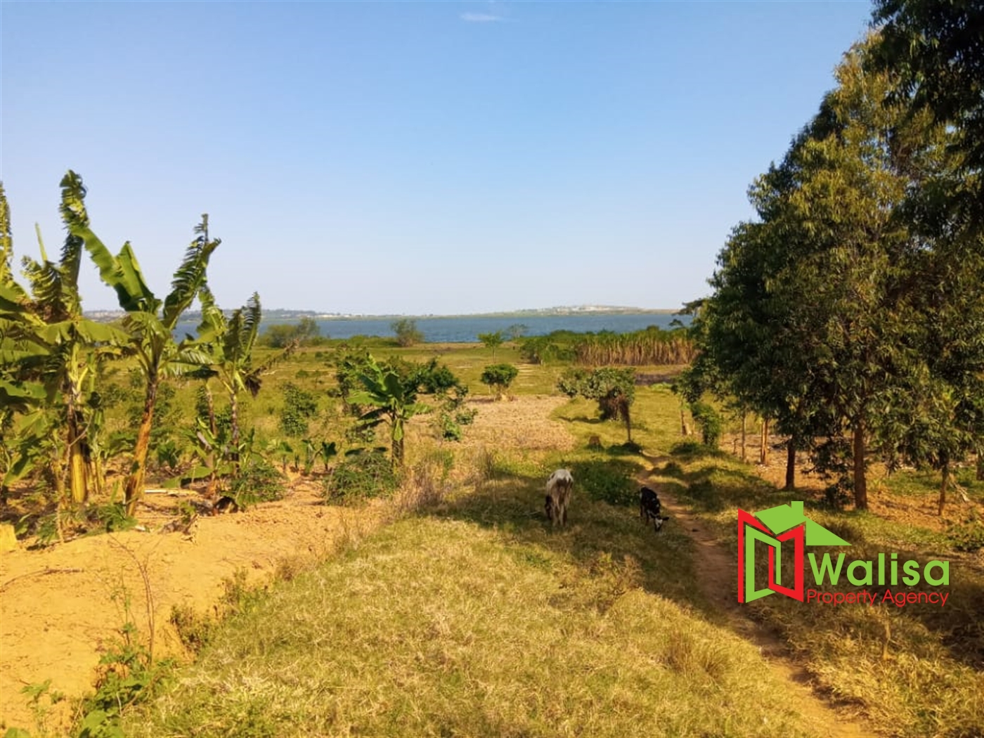 Commercial Land for sale in Buwaya Wakiso