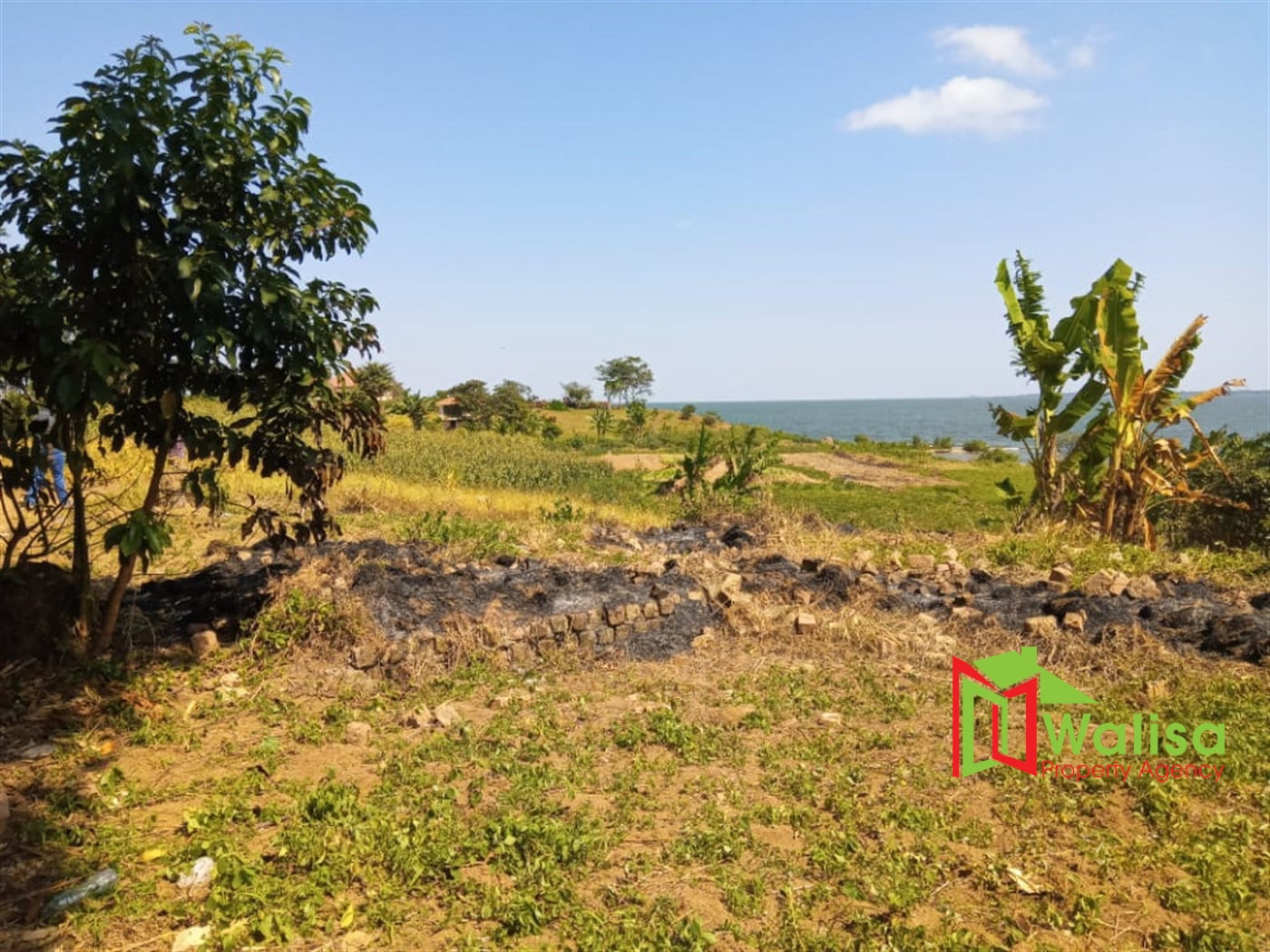 Commercial Land for sale in Buwaya Wakiso