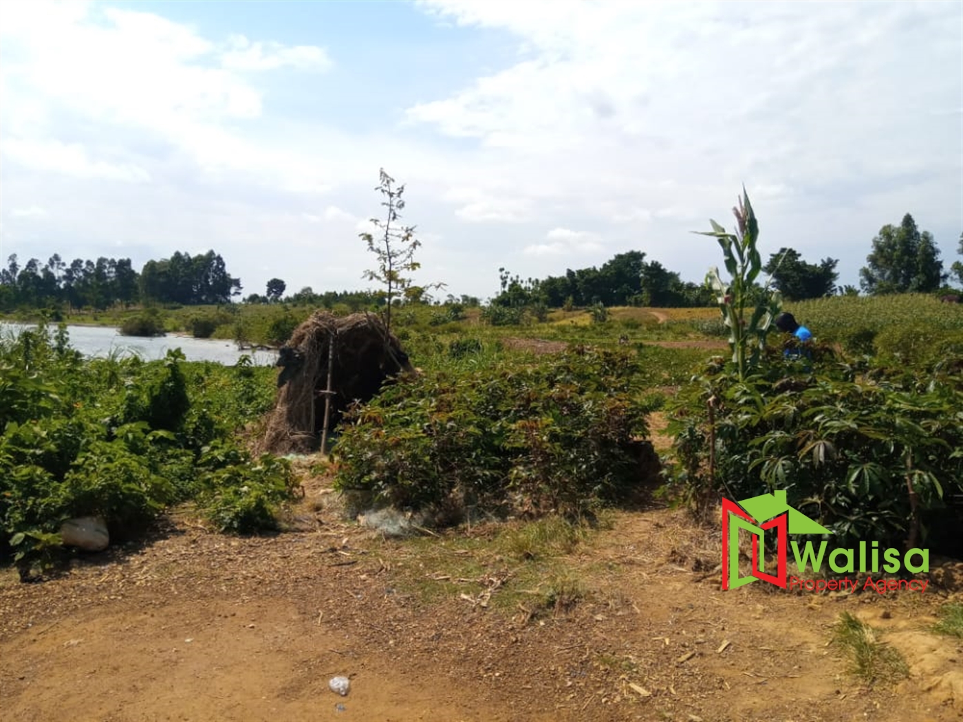 Commercial Land for sale in Buwaya Wakiso