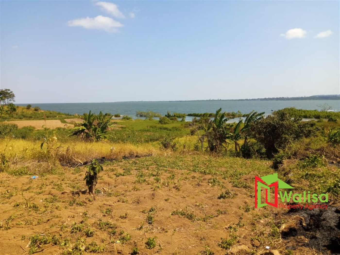 Commercial Land for sale in Buwaya Wakiso