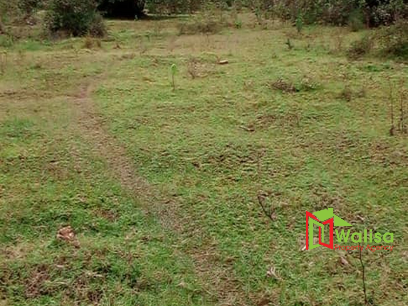 Agricultural Land for sale in Gayaza Wakiso