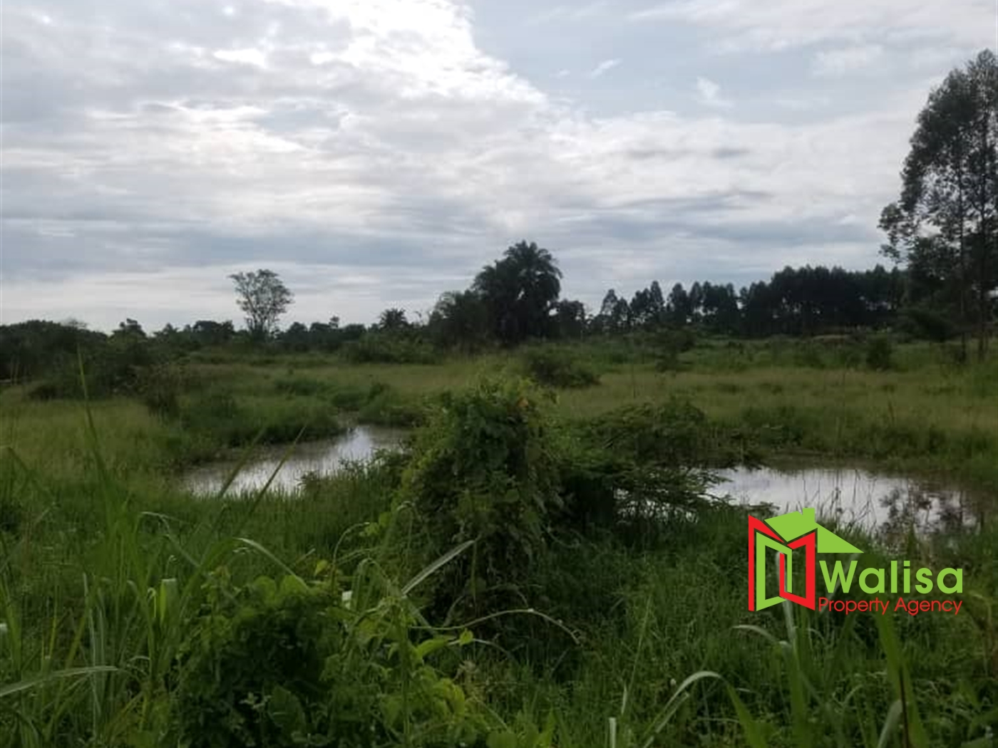 Commercial Land for sale in Kikonge Kiboga