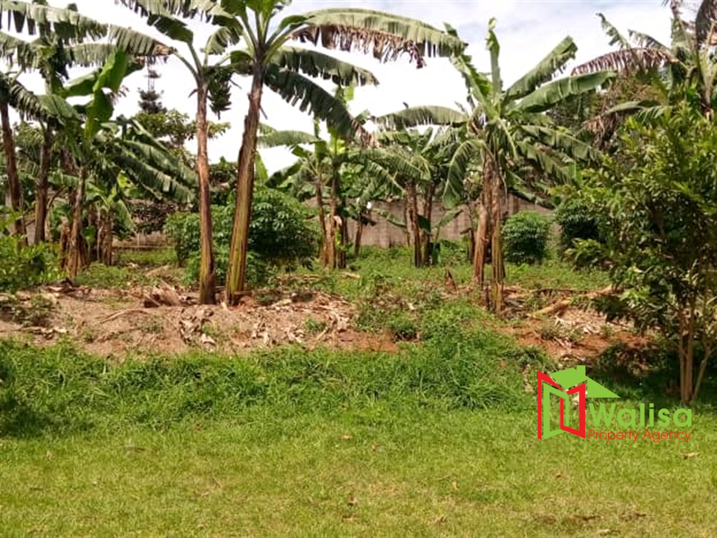Commercial Land for sale in Kitara Buyikwe