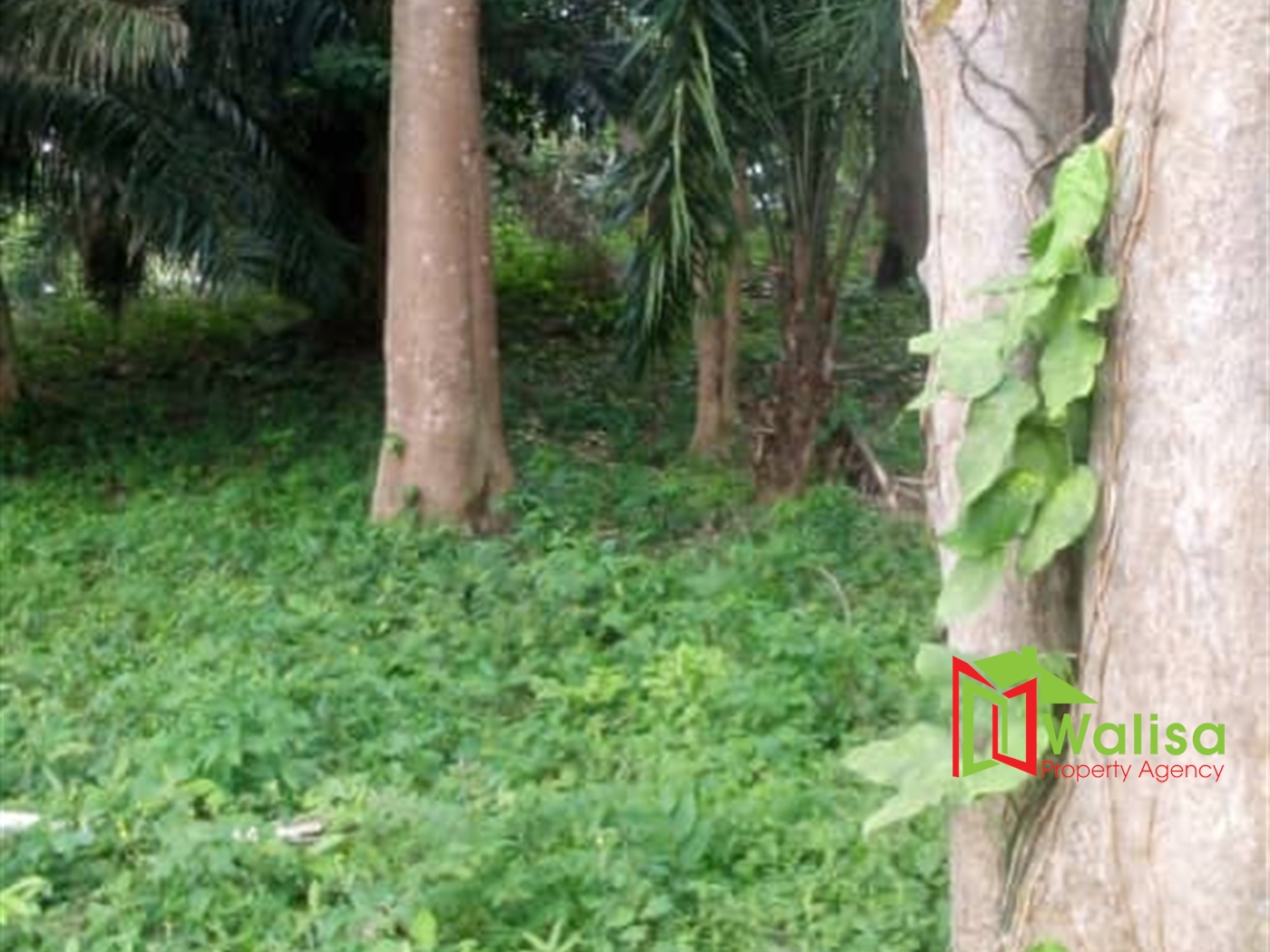 Multipurpose Land for sale in Bukasa Wakiso