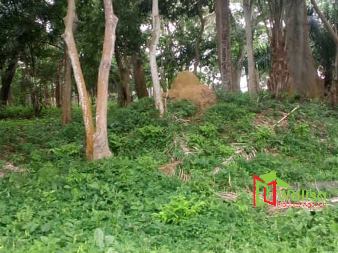 Multipurpose Land for sale in Bukasa Wakiso