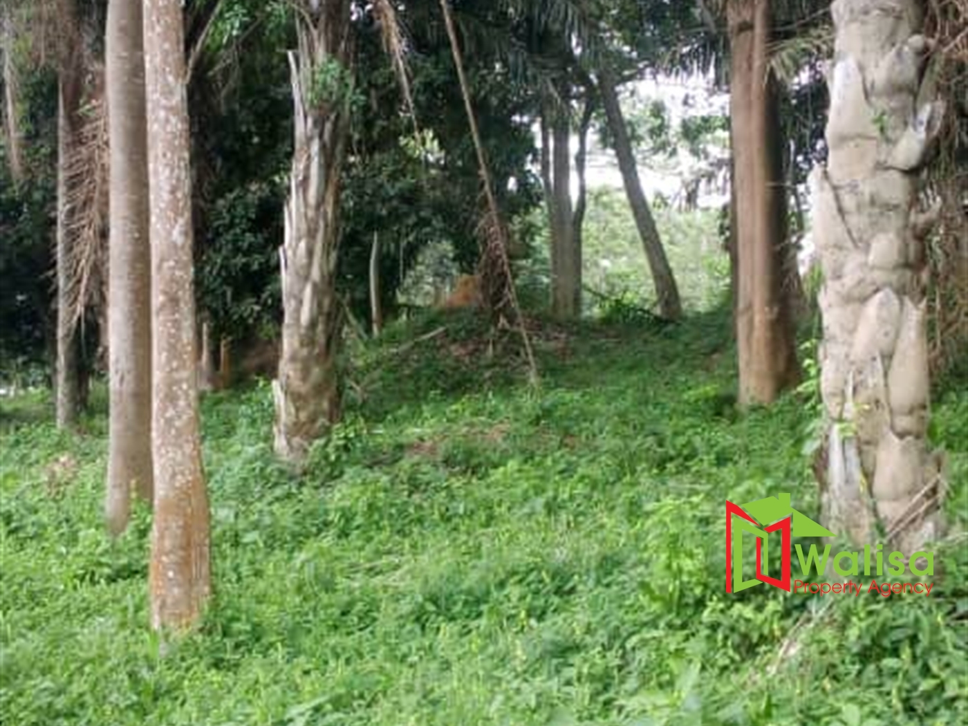 Multipurpose Land for sale in Bukasa Wakiso