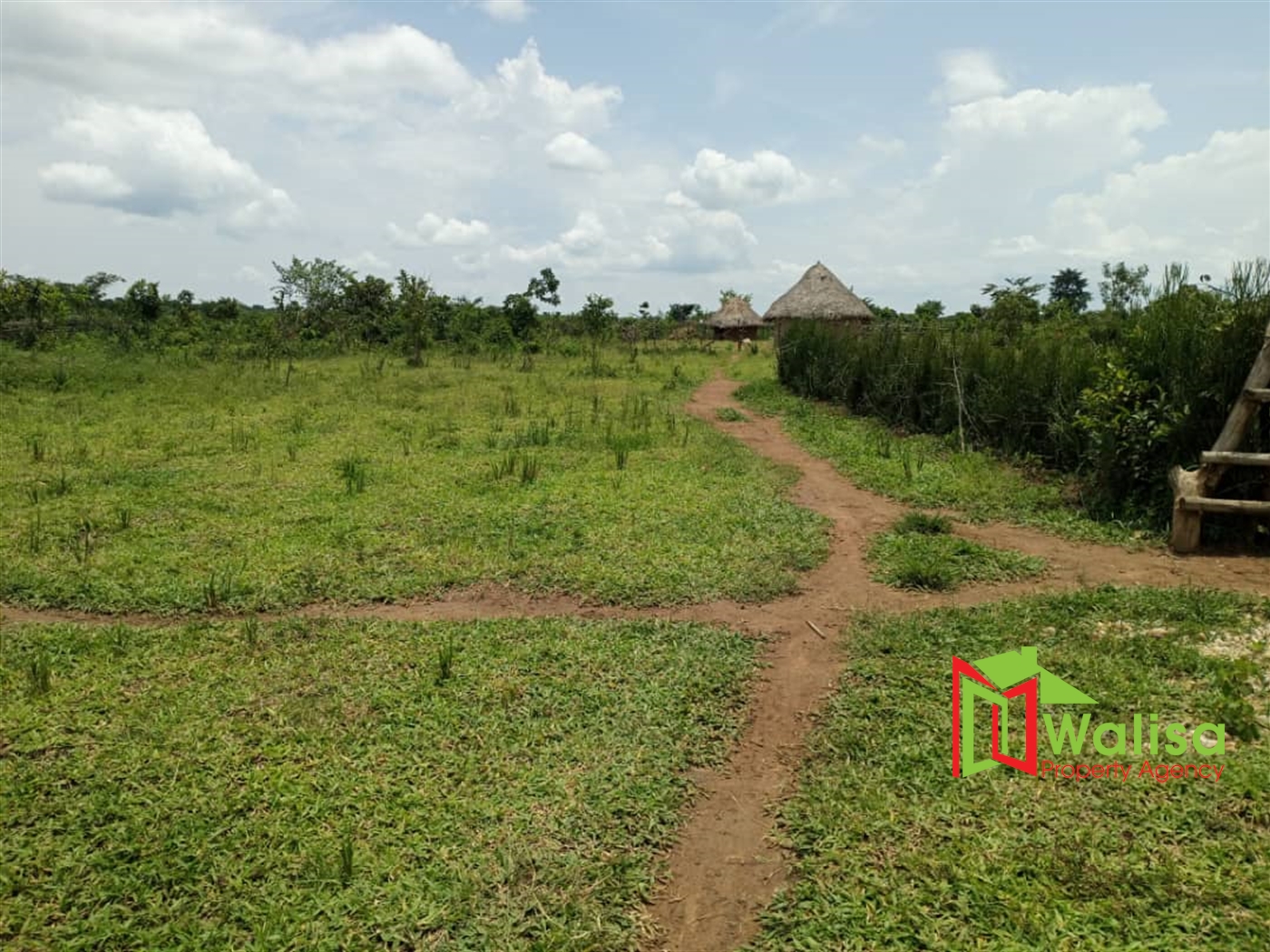 Farm for sale in Kalongo Nakasongola