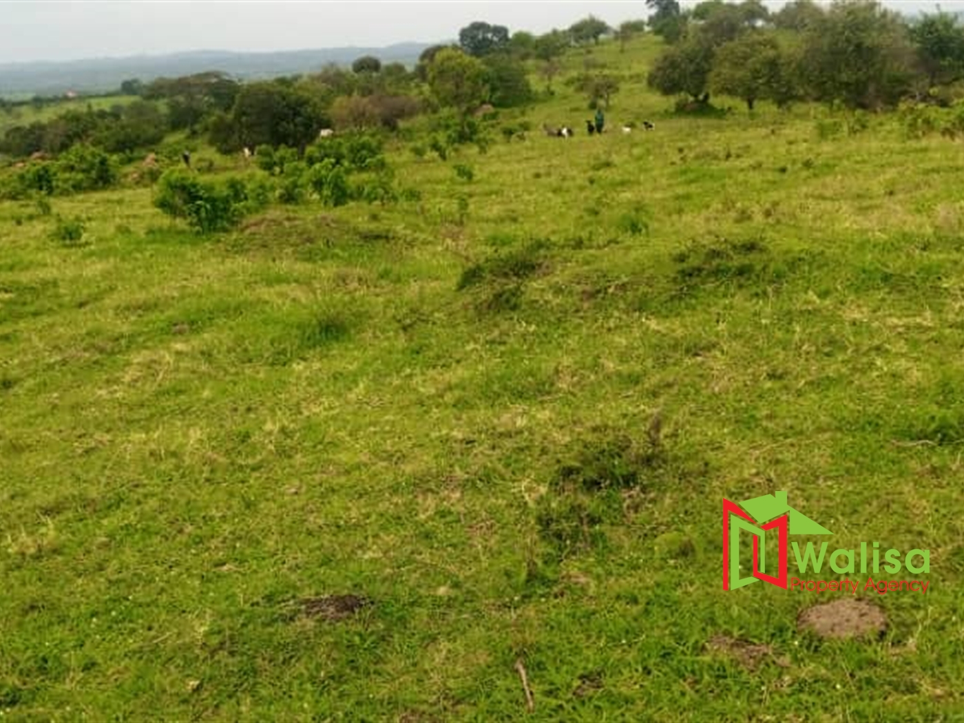 Multipurpose Land for sale in Kashonyji Mbarara