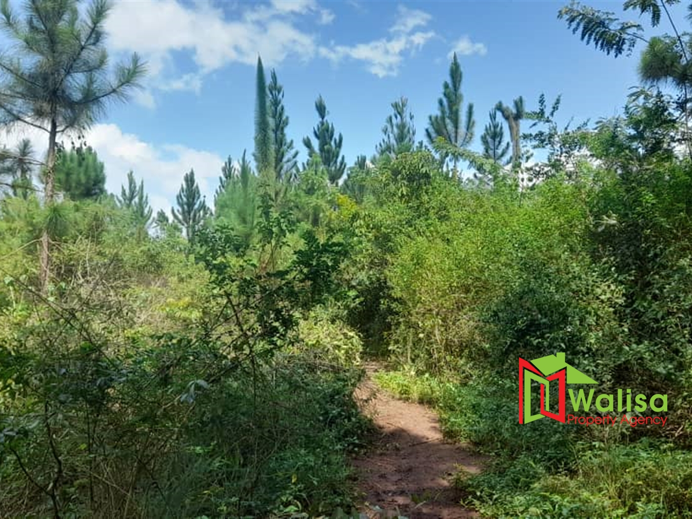 Multipurpose Land for sale in Nanbeere Luweero