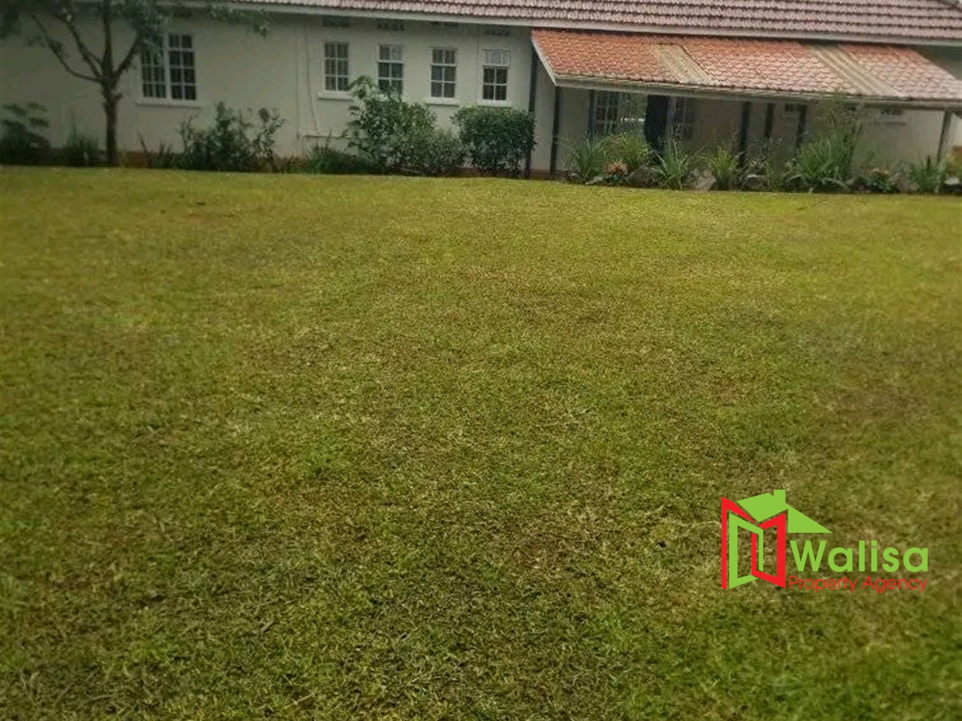 Bungalow for rent in Kololo Kampala