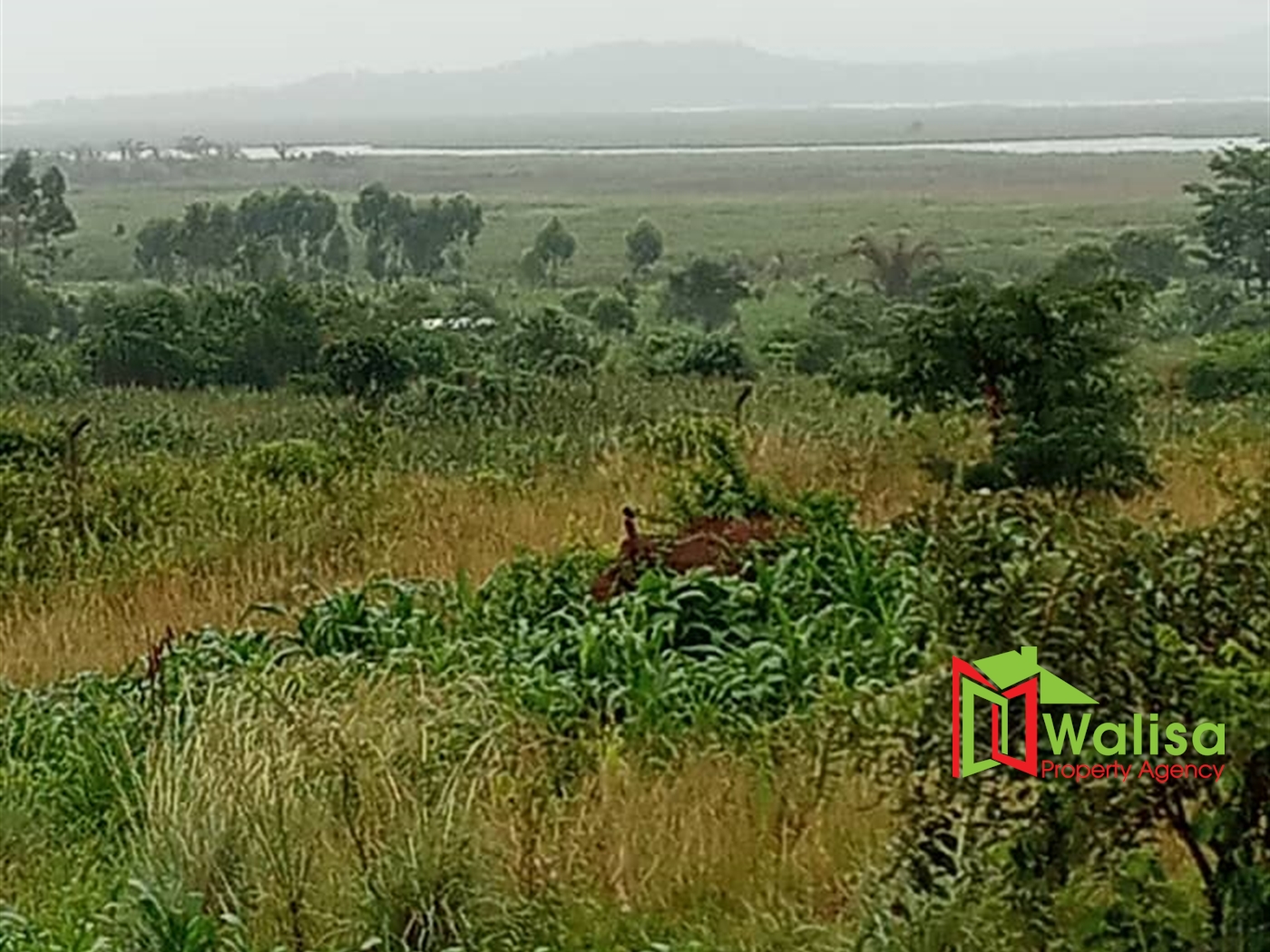 Multipurpose Land for sale in Buwama Mpigi