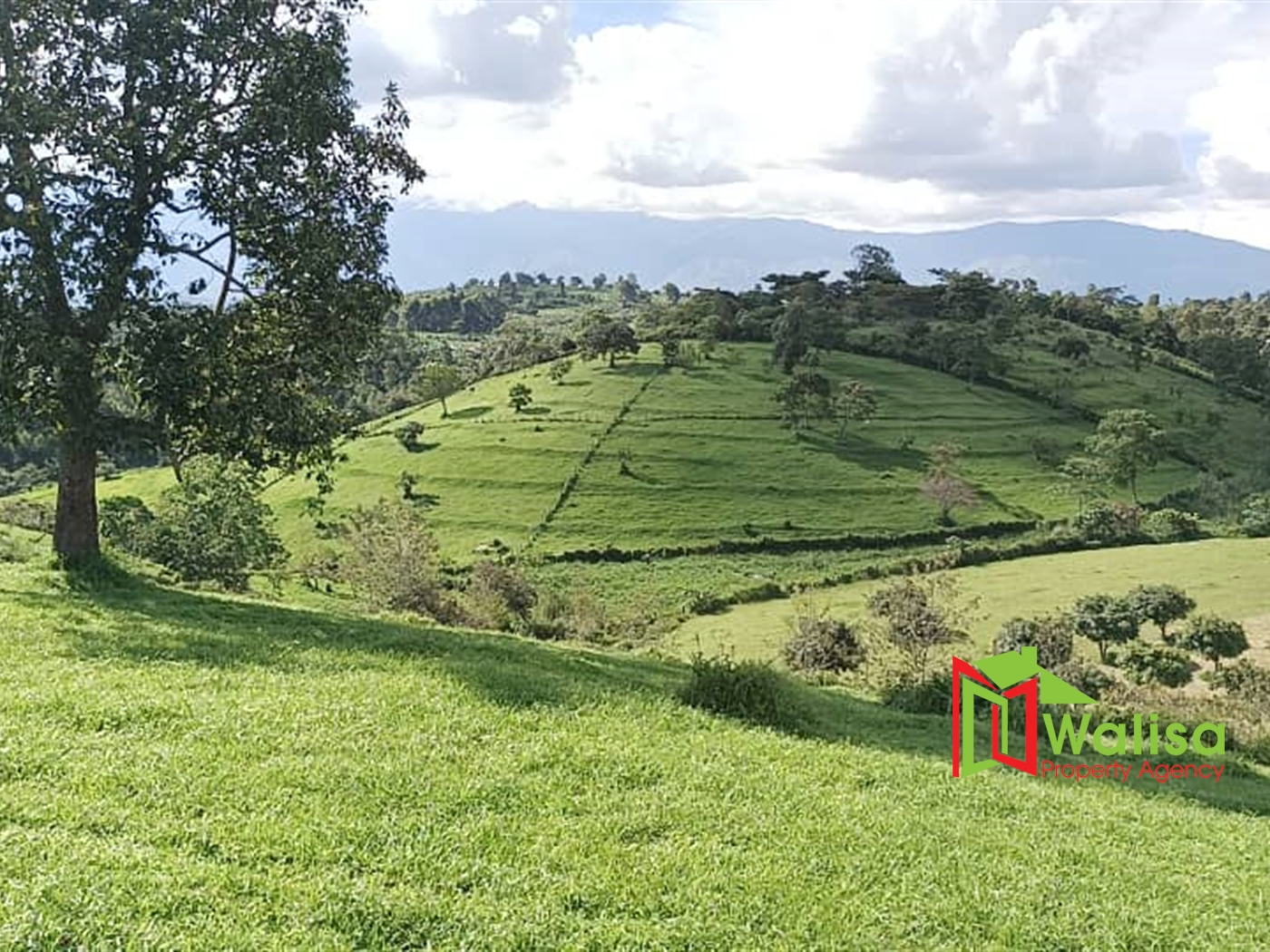 Farm for sale in Fortportal Kabarole