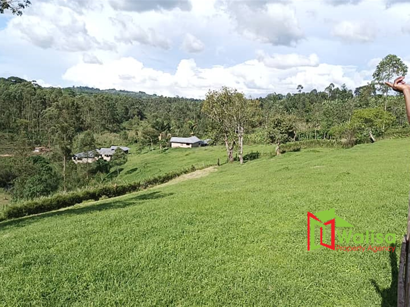 Farm for sale in Fortportal Kabarole