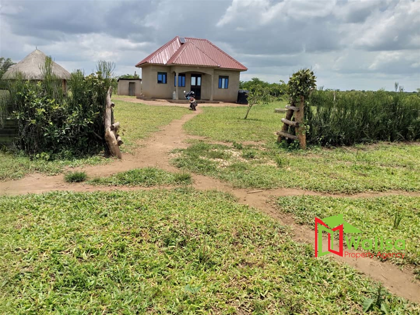 Farm for sale in Kalongo Nakasongola