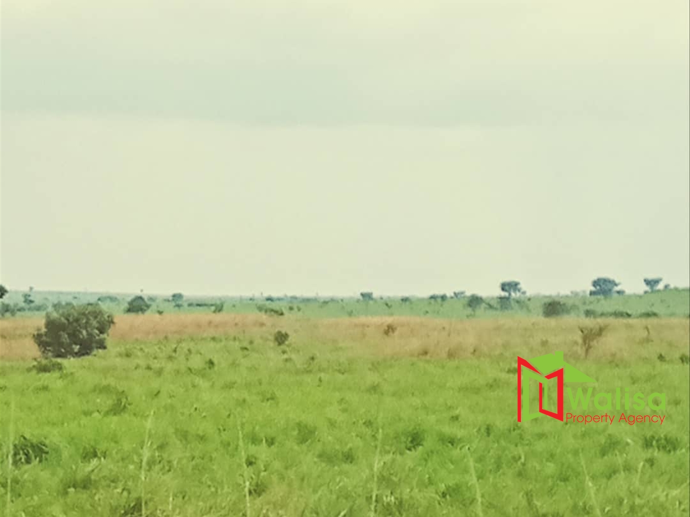 Commercial Land for sale in Nwoya Amuru