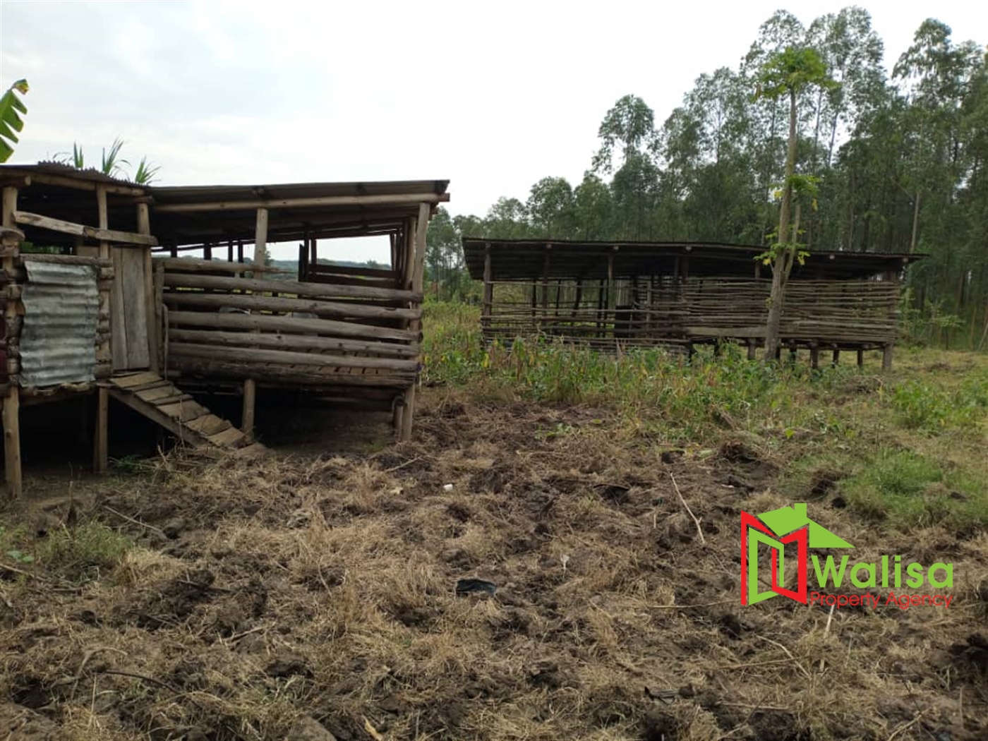 Farm for sale in Kituuto Luweero