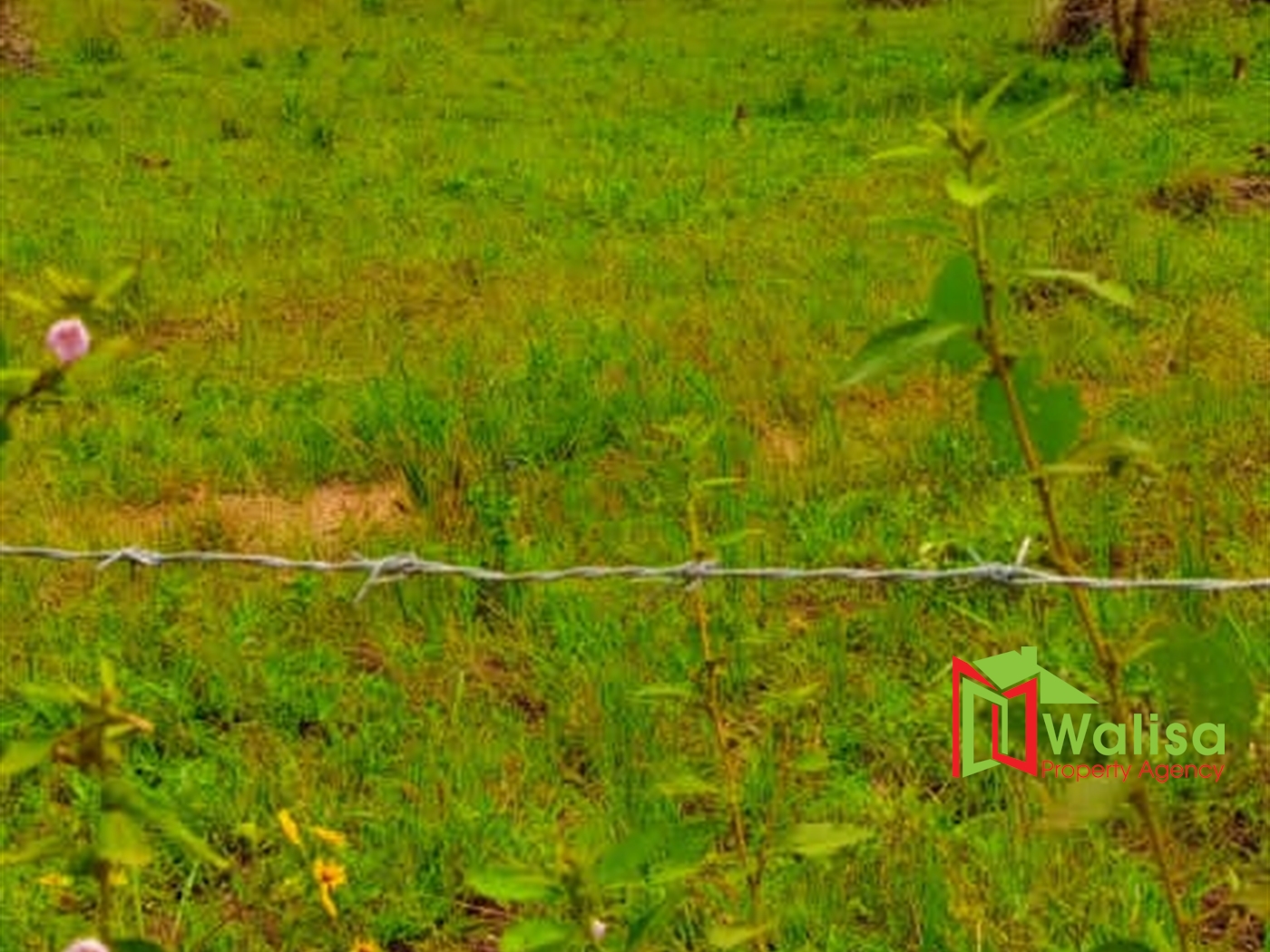 Agricultural Land for sale in Kapeeka Luweero