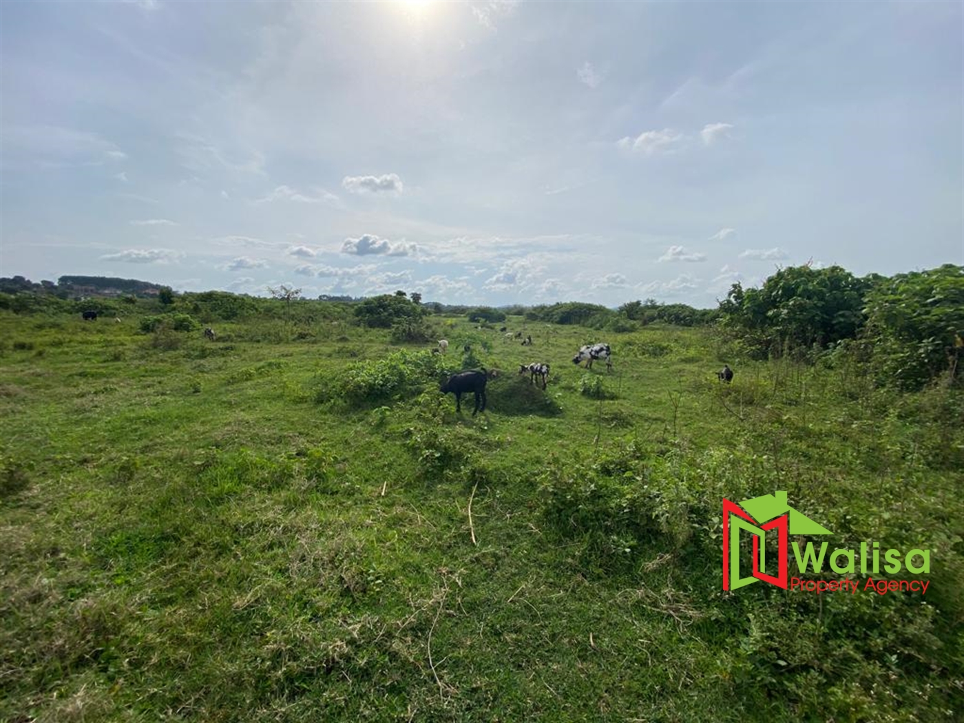 Commercial Land for sale in Bwelenga Wakiso