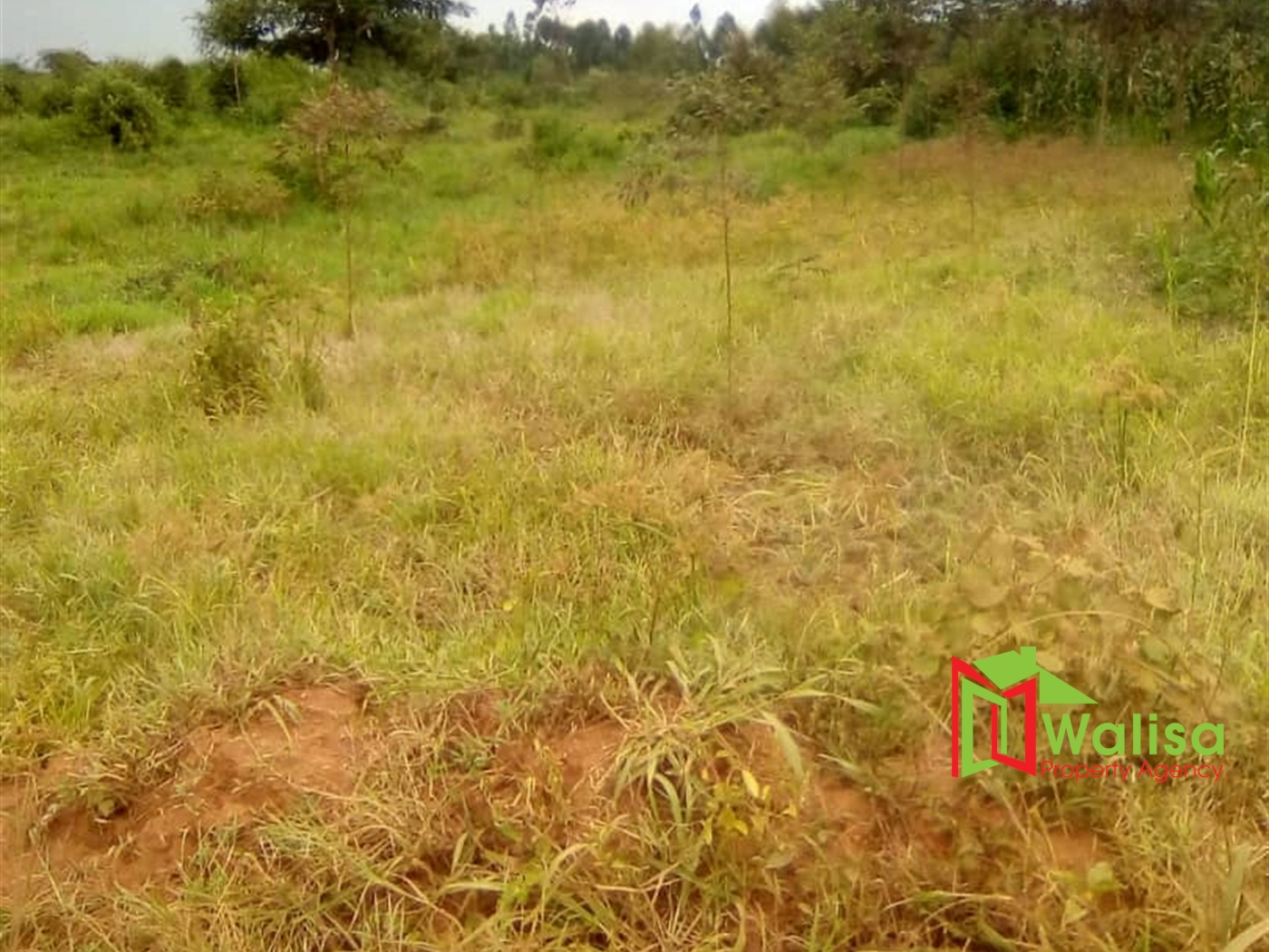 Agricultural Land for sale in Kamila Luweero