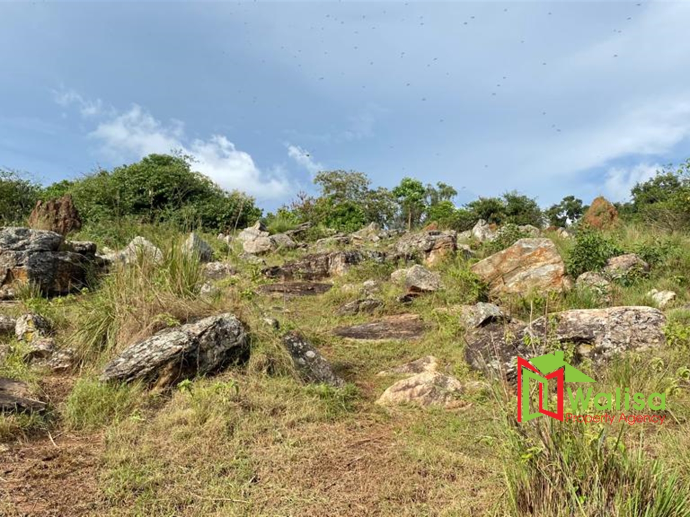 Multipurpose Land for sale in Nkokonjeru Buyikwe
