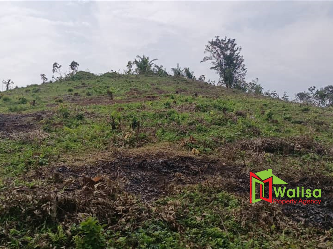 Commercial Land for sale in Nsuube Wakiso