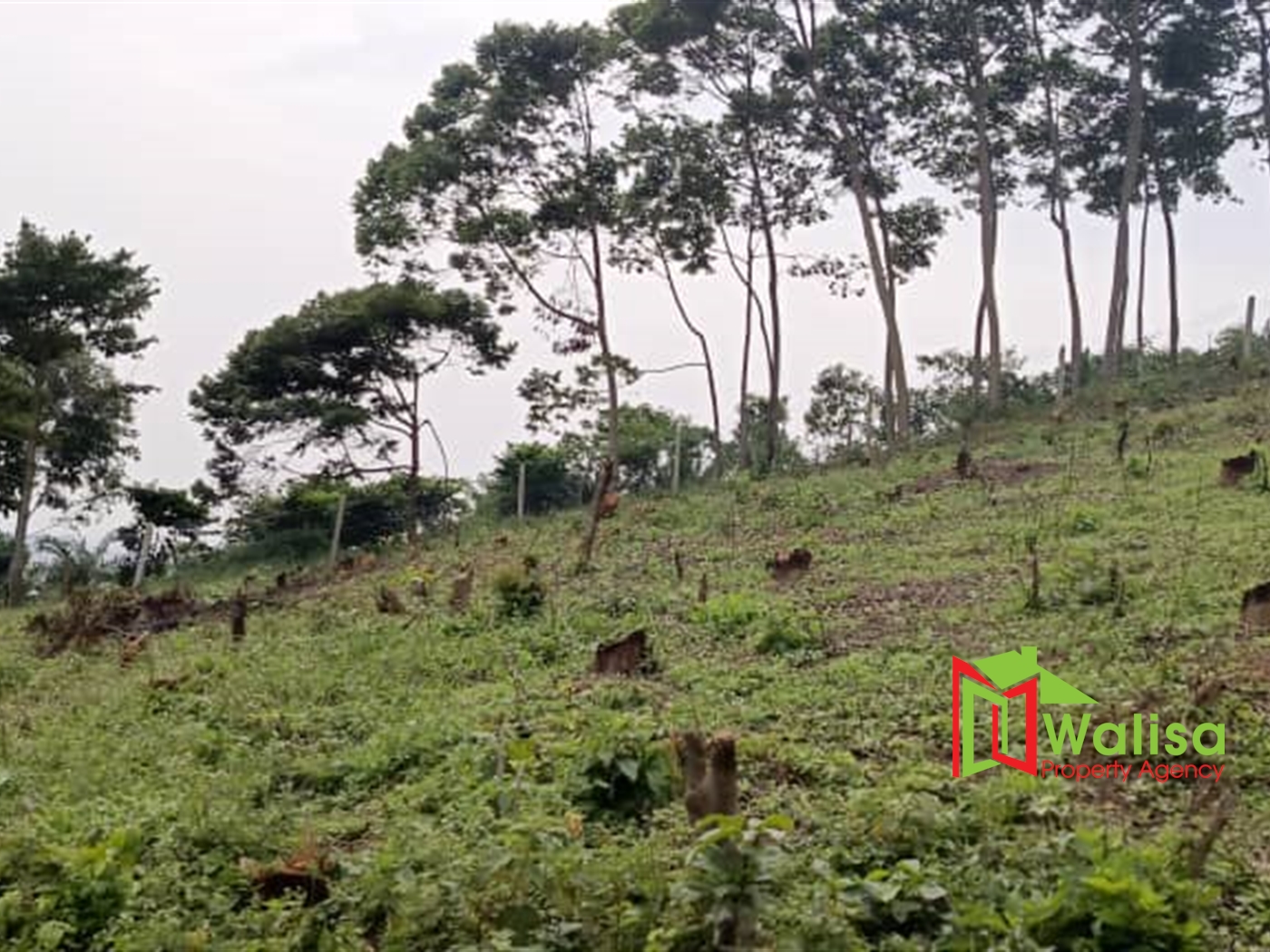 Commercial Land for sale in Nsuube Wakiso