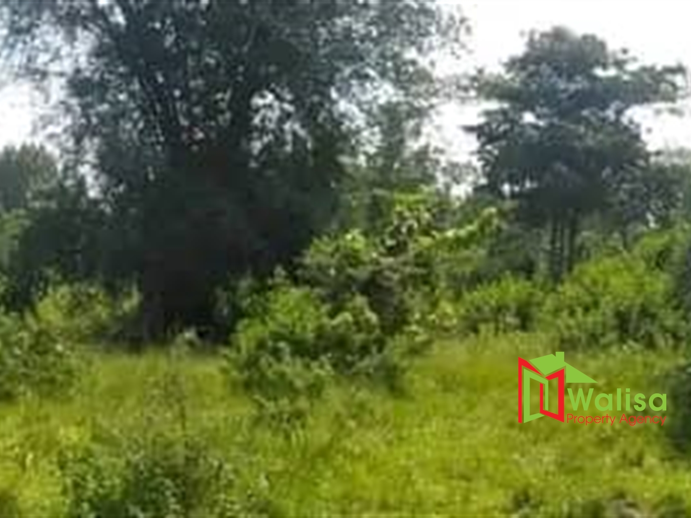 Agricultural Land for sale in Butoolo Nakasongola