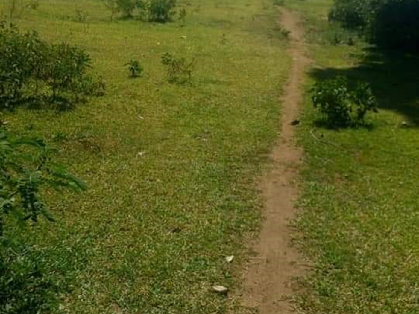 Multipurpose Land for sale in Buvuma Mukono