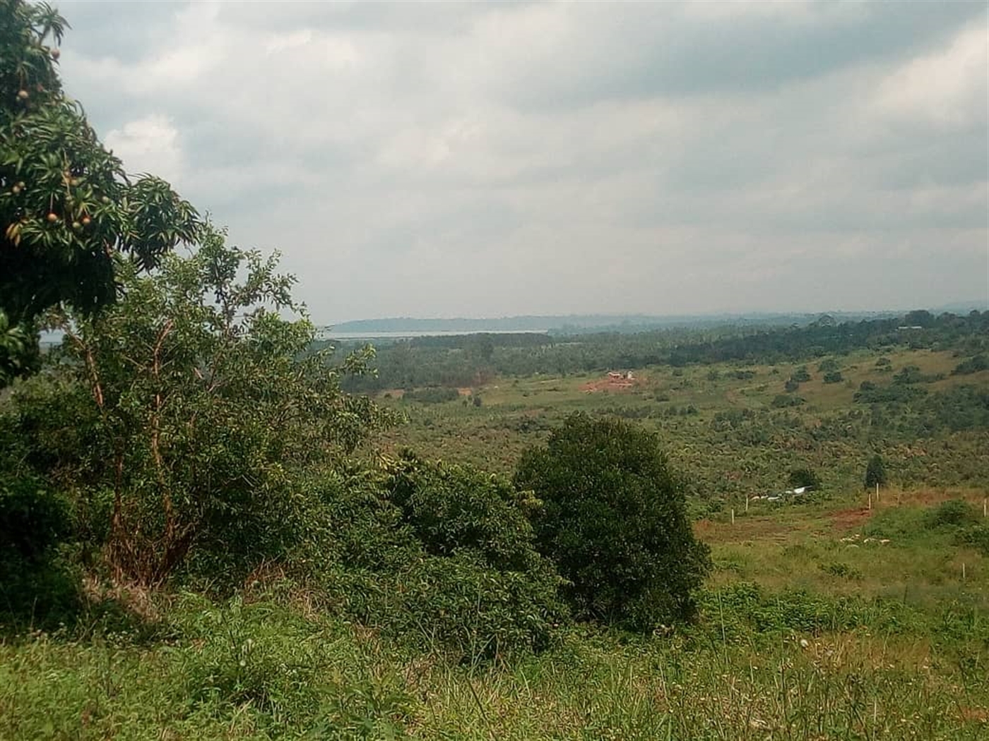 Multipurpose Land for sale in Ssisa Wakiso