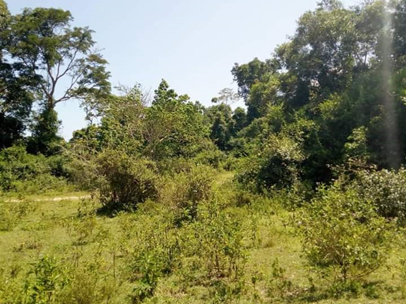 Multipurpose Land for sale in Lukaya Mukono