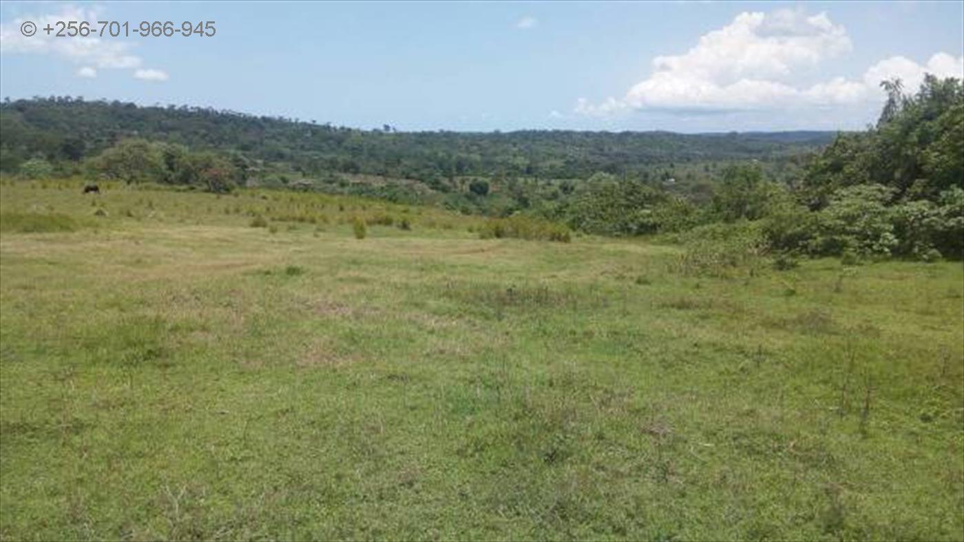 Agricultural Land for sale in Nkokonjeru Mukono