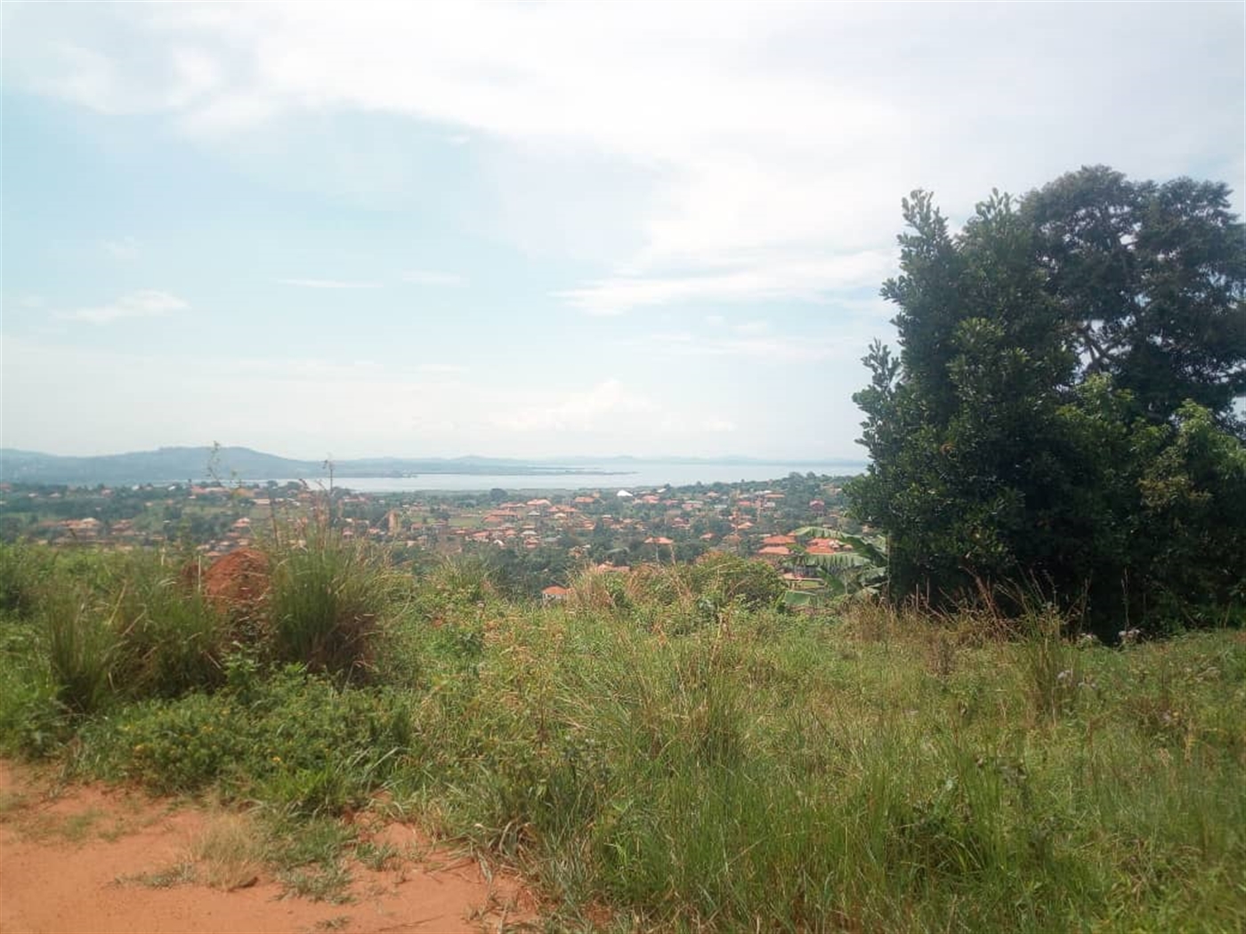 Residential Land for sale in Bwebajja Wakiso