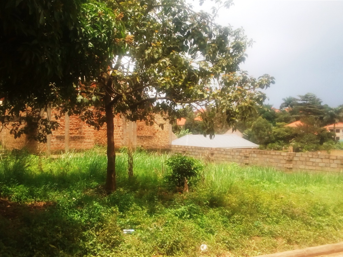 Agricultural Land for sale in Ggaba Kampala