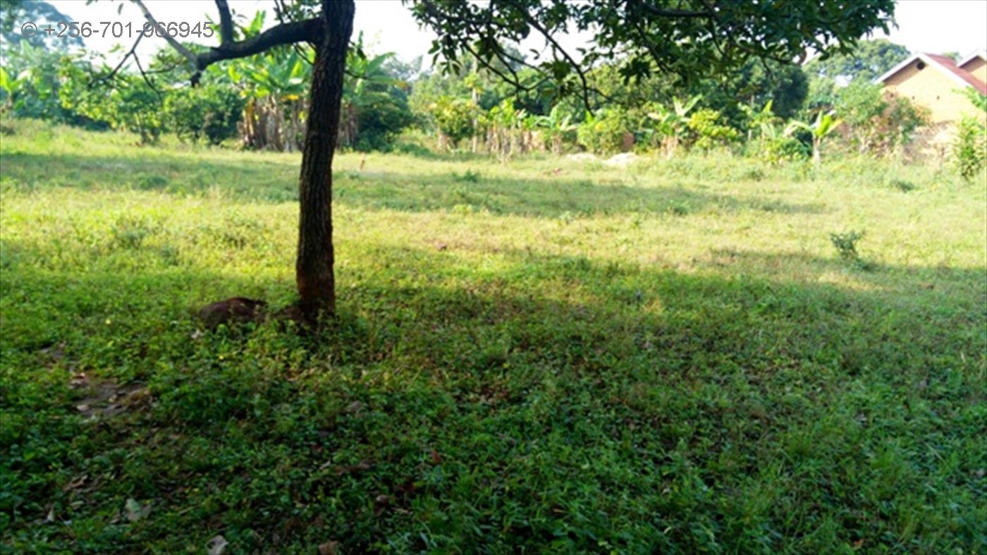 Residential Land for sale in Nalugala Wakiso