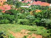 Residential Land for sale in Makindye Kampala