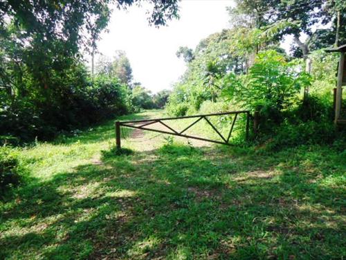 Residential Land for sale in Makindye Kampala