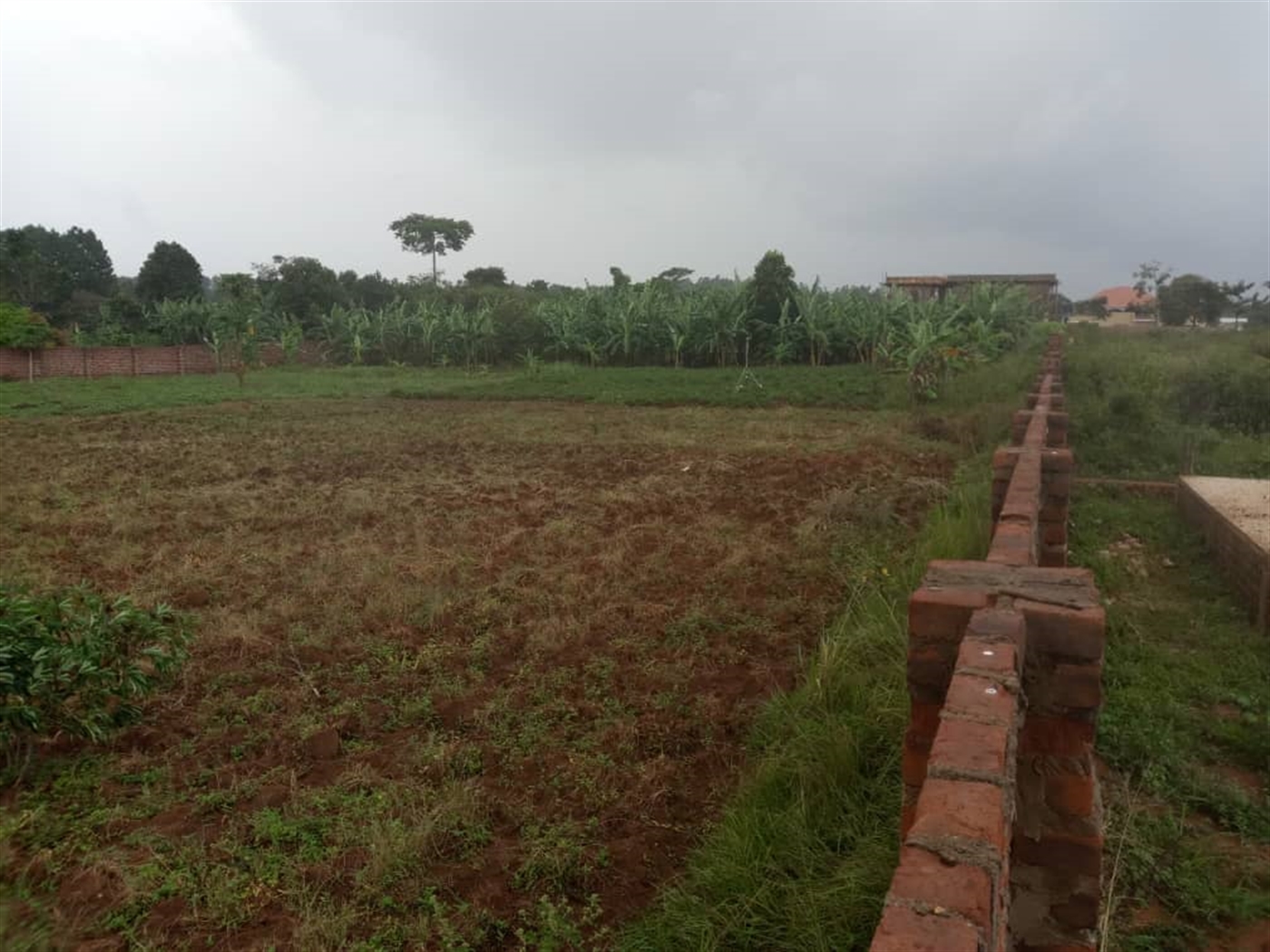 Residential Land for sale in Namulanda Wakiso