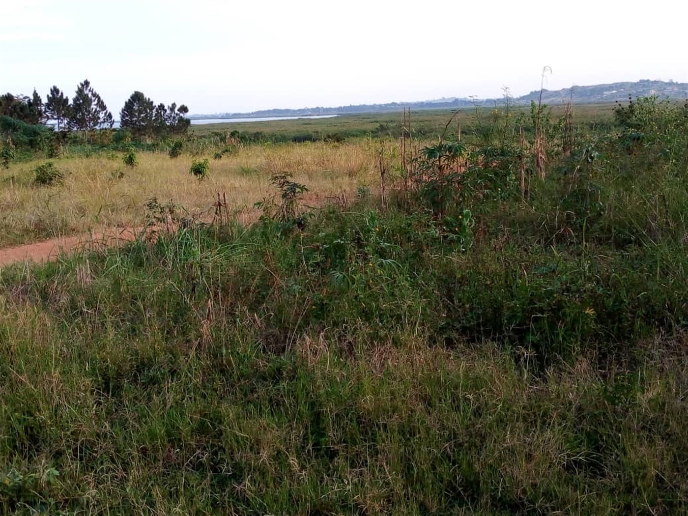 Residential Land for sale in Kitoko Masaka